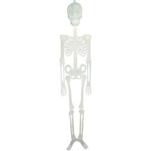 Скелет подвесной флуорисцентный - фото 1