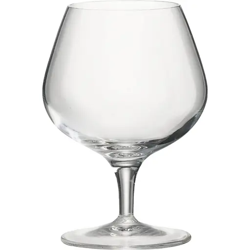 Набір келихів Luigi Bormioli Napoleon 230 мл. 6 шт. (97209)