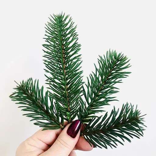 Штучна хвоя Hvoya гілочки ялинки для рукоділля зелений 600 шт. - фото 2