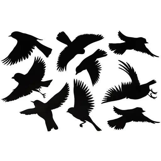 Наклейки для відлякування птахів Bradas малі, 9 шт., 10 аркушів (CTRL-BR001) - фото 1