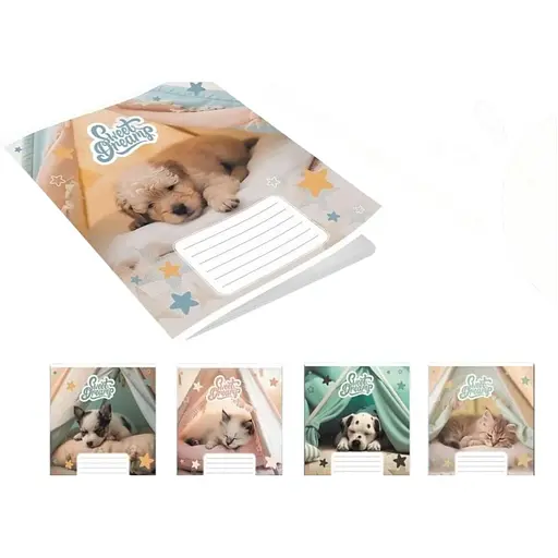 Зошит учнівський Leader 959051 Солодкі сни 12 аркушів 1 шт. в асортименті - фото 1