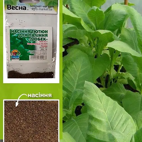 Семена Табак для курения "Дюбек" (Зипер) Весна 0.5г (46308) - фото 3
