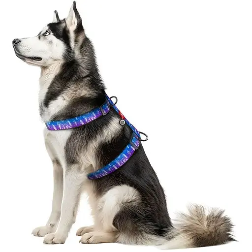 Шлейка для собак Waudog Nylon анатомическая H-образная с QR-паспортом, рисунок "Ловец снов", пластиковый фастекс, XL - фото 3