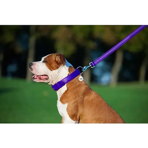 Поводок для собак Waudog Glamour кожаный, фиолетовый - фото 7