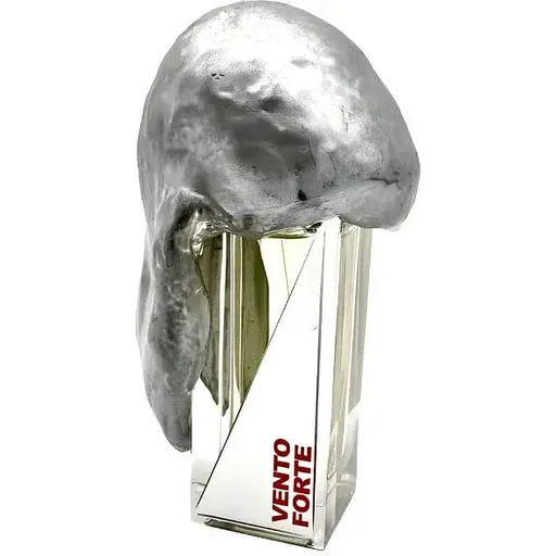 Духи оригинал Filippo Sorcinelli Vento Forte 50 мл тестер Extrait de Parfum - фото 1