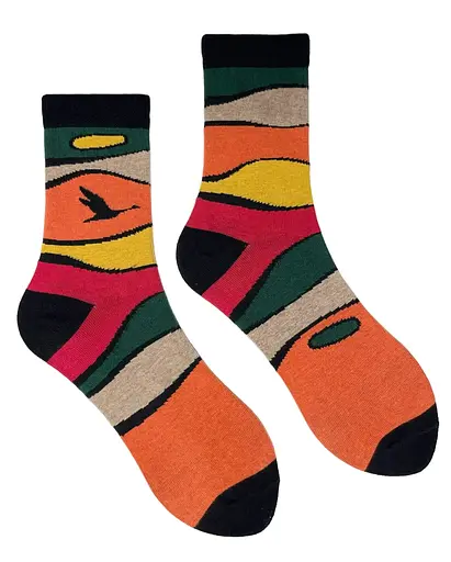 Носки мужские Осень из индийского хлопка 113043 - фото 1