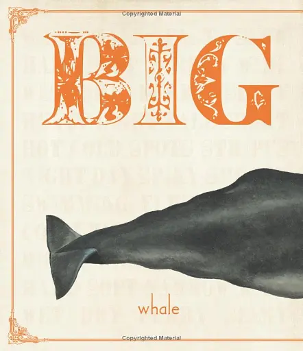 First Concept. Animal Opposites - фото 3