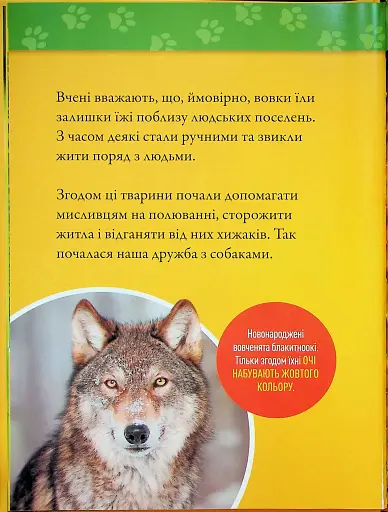 Гав! 100 цікавих фактів про собак - фото 4