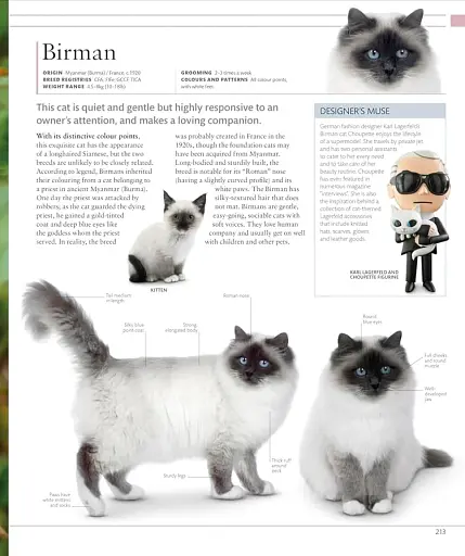 The Cat Encyclopedia - фото 19