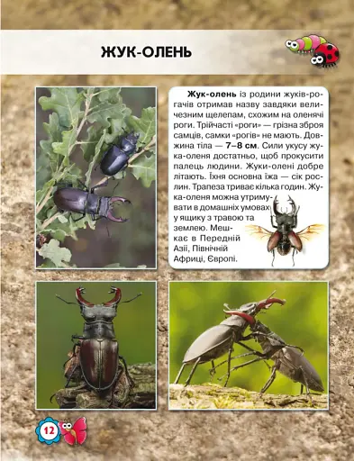 Світ навколо нас. Комахи - фото 2