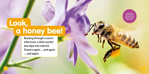 Explore My World: Honey Bees - фото 2