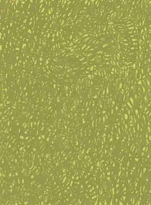 Фоґі - фото 2