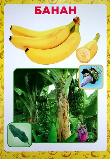 Розповімо дітям. Про фрукти та ягоди - фото 5