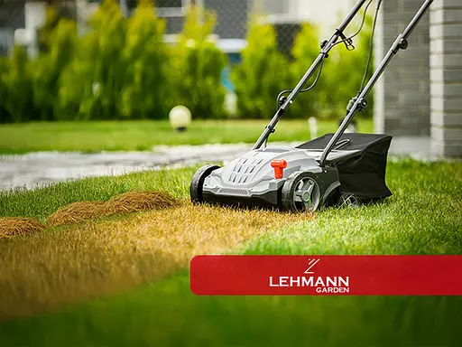 Електричний скарифікатор, аератор (2500 Вт, 320 мм) Lehmann ALYSSUM - фото 10