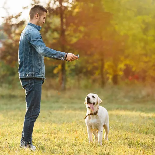 Ультразвуковий відлякувач собак KWAY DFD-19 акумуляторний Blue (17075) - фото 3