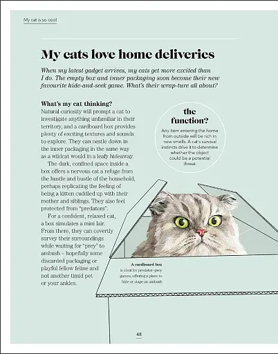 What's My Cat Thinking? Understand Your Cat to Give Them a Happy Life - фото 3