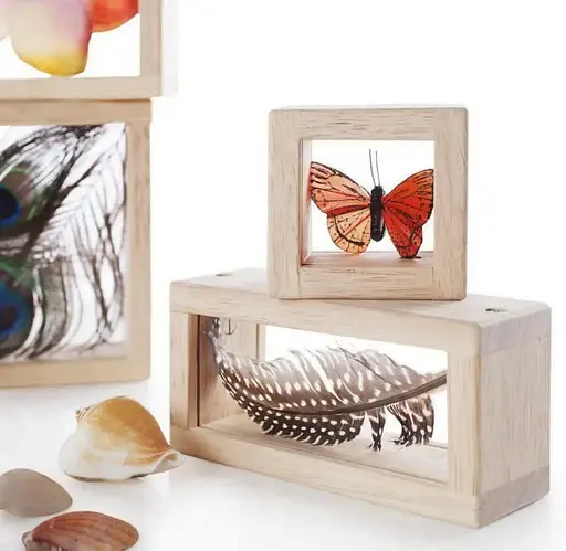 Набор Guidecraft Natural Play Сокровища в прозрачных ящиках G3084 - фото 2