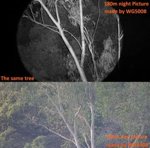 Прибор ночного видения Widgameplus WG500B 1080P HD 10.8X31 Цифровой бинокль - фото 9