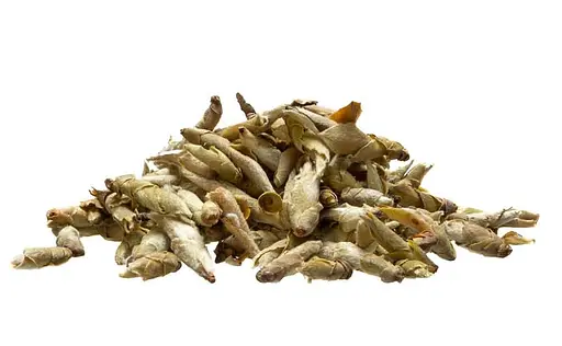 Чай Jinglong Tea Factory Дикие почки с пуэрных деревьев Гу Шу Я Бао от Цзин Лун 2021 г. - 50 г - фото 4