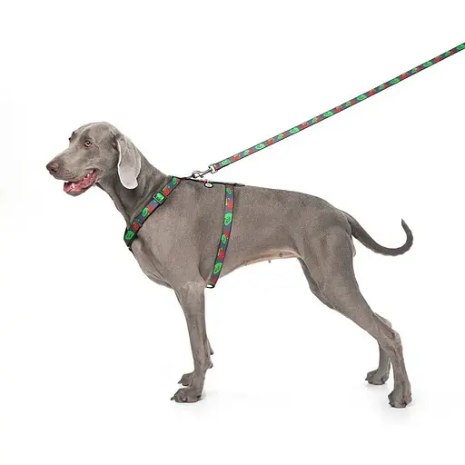 Повідець для собак Waudog Nylon нейлоновий, малюнок "Калина", розмір L-ХХL - фото 3