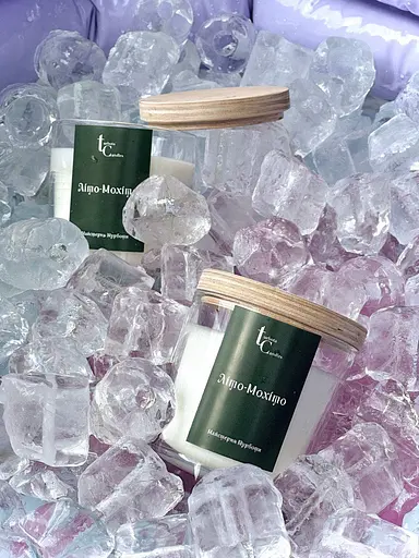 Літо-Мохіто Стандартні (250мл) Соєвий віск 30 годин - фото 3