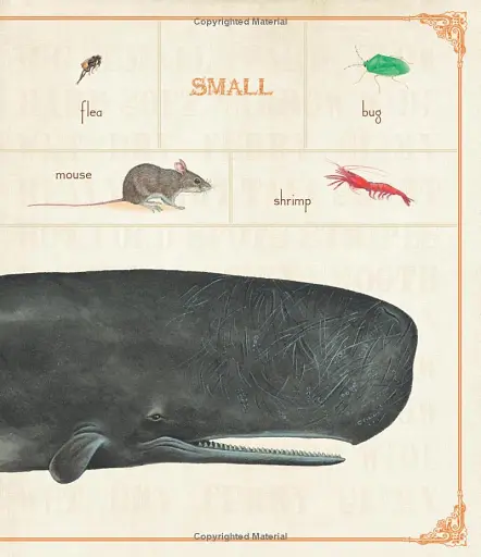 First Concept. Animal Opposites - фото 4