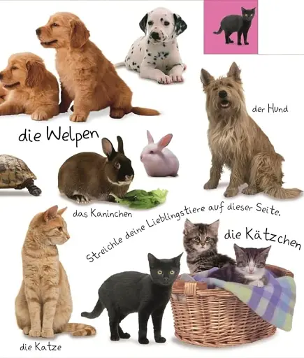 Erstes Lernen. Wörter - фото 5