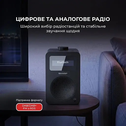 Радиоприемник Sharp DR-430 Black - фото 4