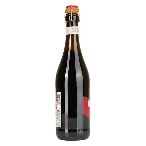 Вино ігристе Kavalier Lambrusco Emilia Vino Frizzante Rosso Amabile IGT червоне напівсолодке 0.75 л - фото 2