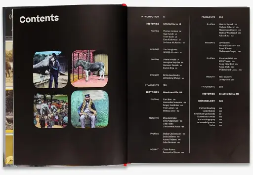 Why We Photograph Animals - фото 4