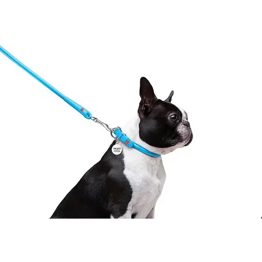 Повідець для собак Waudog Glamour шкіряний круглий, блакитний - фото 4