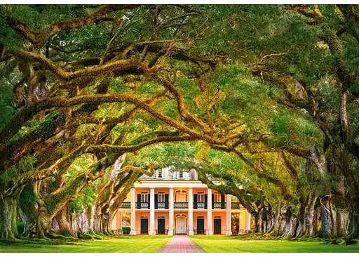 Пазл Castorland Дубовая аллея 1000 эл. (C-104383) - фото 2