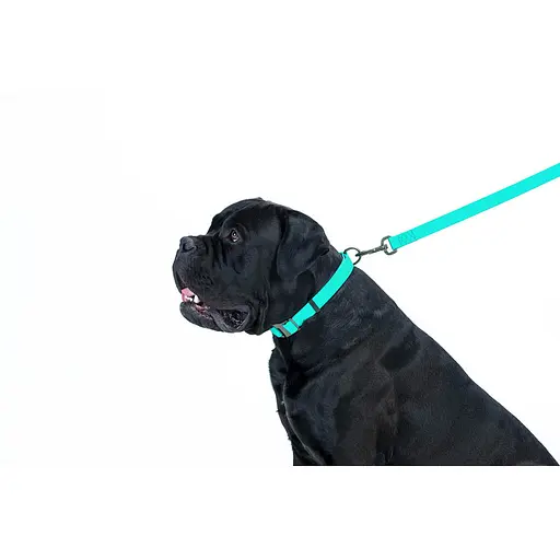 Поводок для собак водостойкий Waudog Waterproof светонакопительный L-XXL Ш 25 мм Д 183 см - фото 6