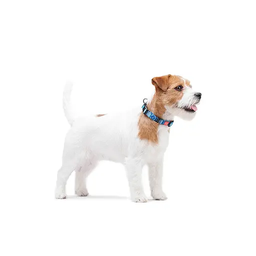 Нашийник для собак нейлоновий Waudog Nylon з QR-паспортом "Етно синій" пластиковий фастекс Ш 15 мм Д 25-35 см - фото 7