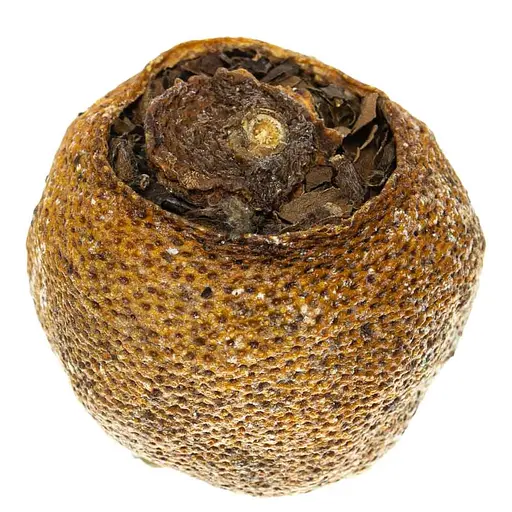 Шоу Мей в мандарине - 1 шт. - фото 6