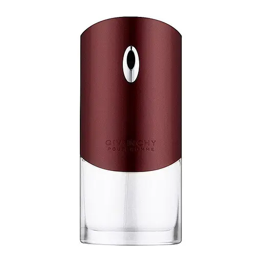 Туалетная вода для мужчин Givenchy Pour Homme Парфюм мужской 100 мл - фото 1