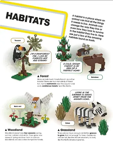 LEGO Animal Atlas - фото 7