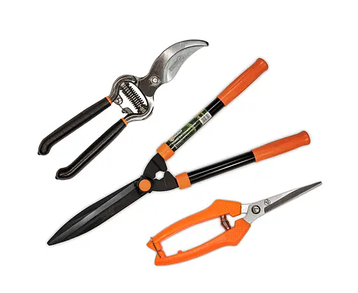 Набір садових інструментів Polax ножиці для стрижки кущів 550мм і ножиці садові 190мм і секатор 200мм (770-22) - фото 1