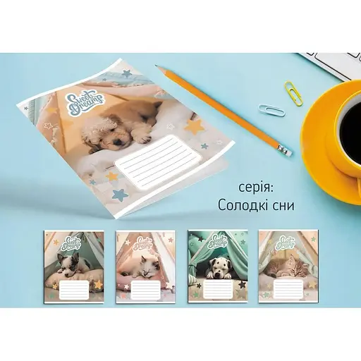 Зошит учнівський Leader 959051 Солодкі сни 12 аркушів 1 шт. в асортименті - фото 2
