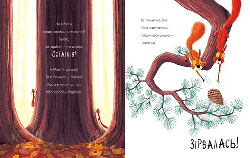 Книга Дві білки і шишка з гілки. Маленькі історії про чудеса та дружбу. Автор - Рейчел Брайт (Ранок) - фото 5