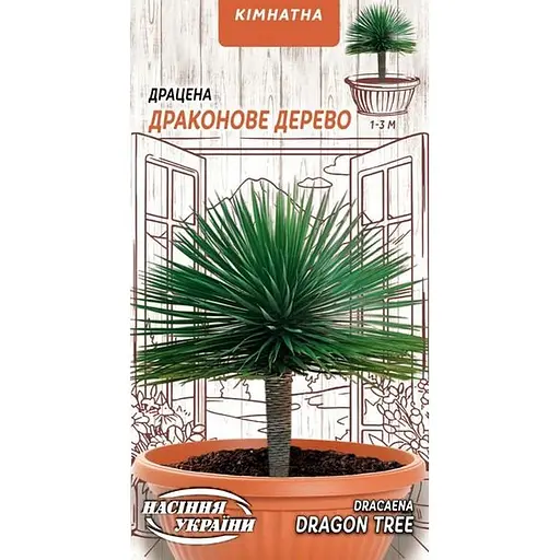 Насіння Драцена Драконове дерево Насіння України кімнатна 2 шт. (745900)