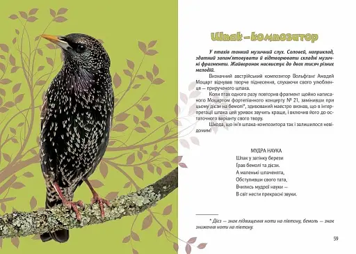 Вусохвості й лапокрилі. Читанка про тварин - фото 7