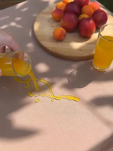 Водовідштовхувальна скатертина Горіховий однотон 340х140 см (+ 7 серветок 30х40) - фото 4