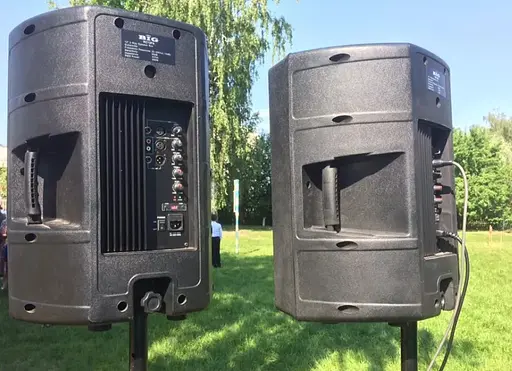 Активная акустическая система BIG RC12FA - фото 3