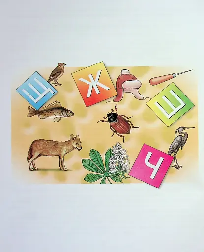 Виправлення вад мовлення. Звуки Щ, Ч, Ш, Ж - фото 5