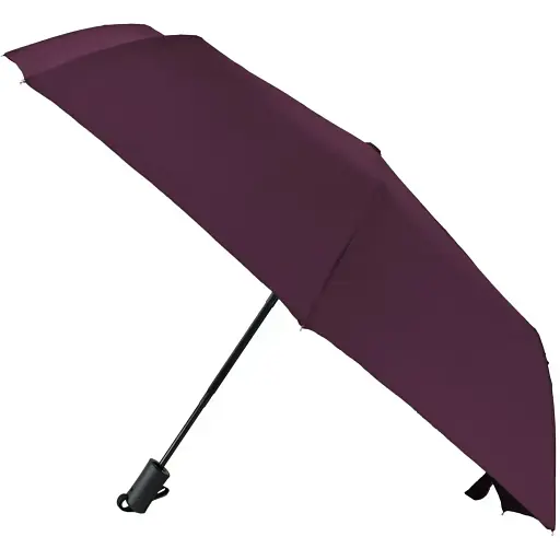 Зонтик Semi Line Burgundy L2064-2 (DAS303553)