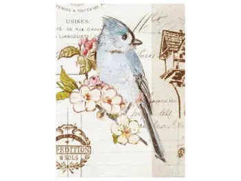 Альбом UFO 20sheet Bird 22х32см (20sheet S22x32 Bird) - фото 3