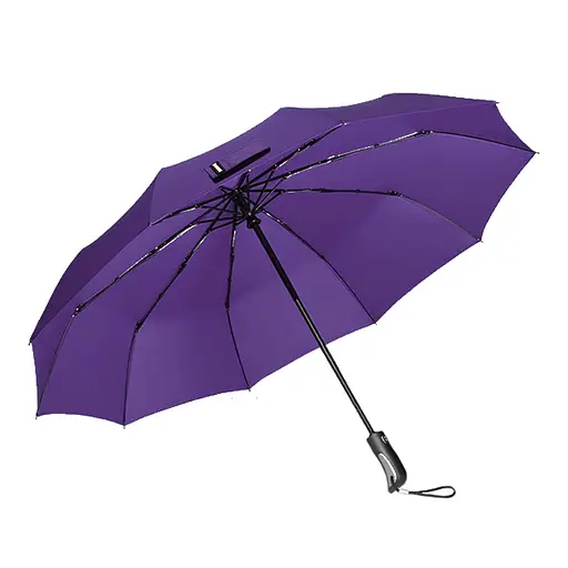 Парасолька автоматична Xiaomi Zuodu Purple (ZD001) 