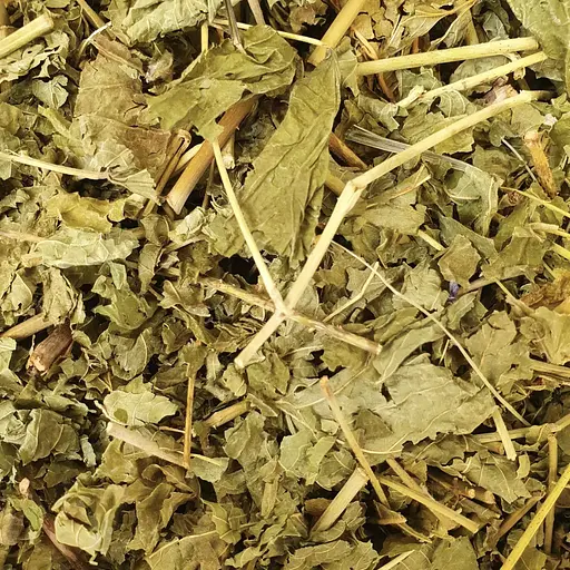 100 г ожина сиза листя сушене - свіжий урожай