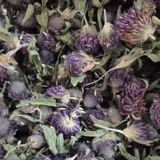 100 г клевер цвет/трава сушеный - свежий урожай